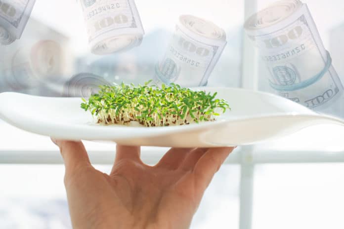 Microgreens on a plate and money in the background