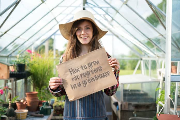 A lady standing in a greenhouse with a sign