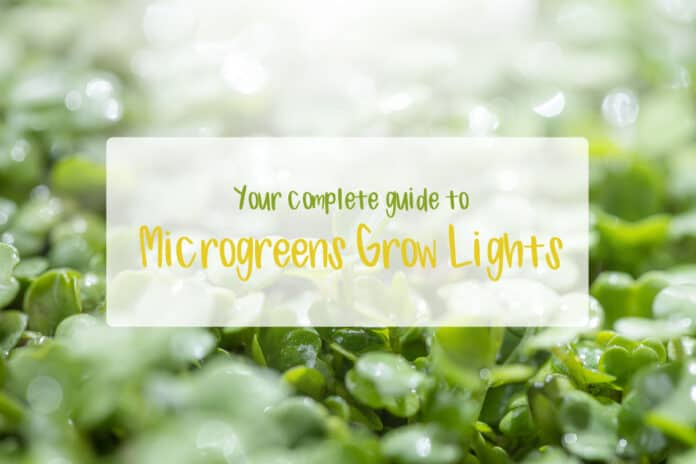 Microgreens Lighting Guide