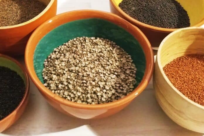 Microgreen seeds in bowls on a table