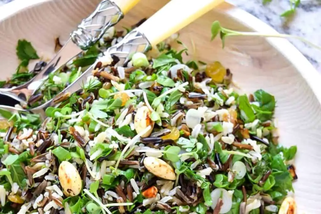 Wild rice and microgreen salad on a white plate