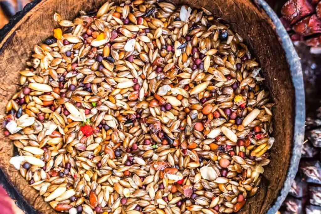 Birdseed mix in a coconut bowl