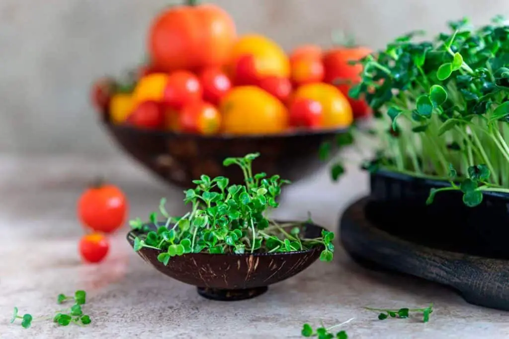 Arugula in a bamboo bowl on a table. Tomato´s in the background