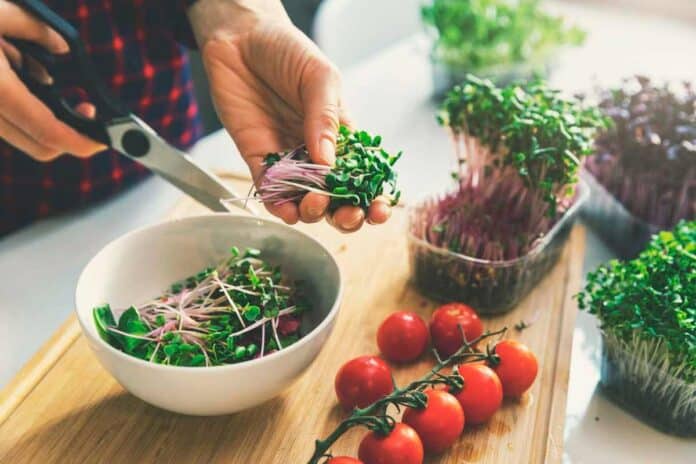 Microgreen salad being prepared