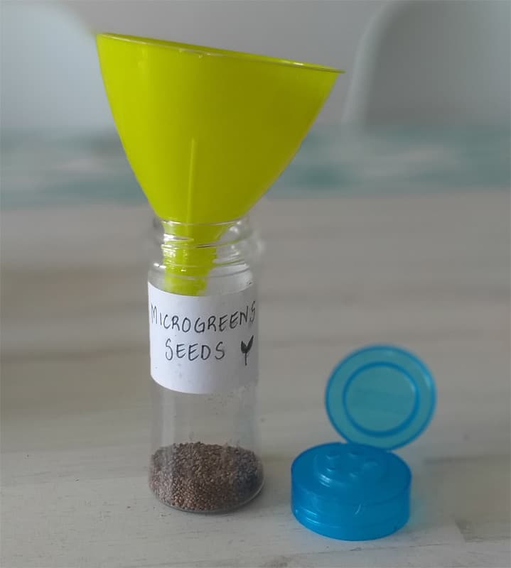 Glass bottle with microgreen seeds in it